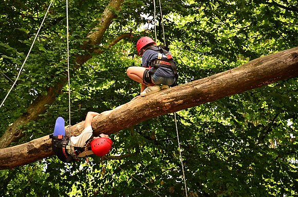 zwei kinder auf einem baum klettern gesichert 